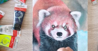 Vẽ gấu trúc đỏ bằng màu Acrylic 